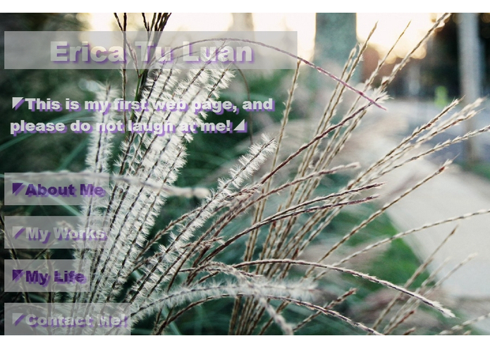 Erica's Pages – screenshot 1