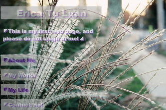Erica's Pages