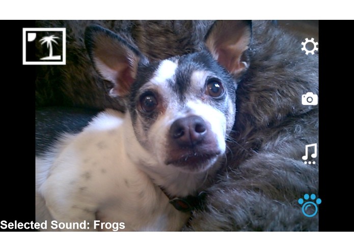 Pawwshots – screenshot 1