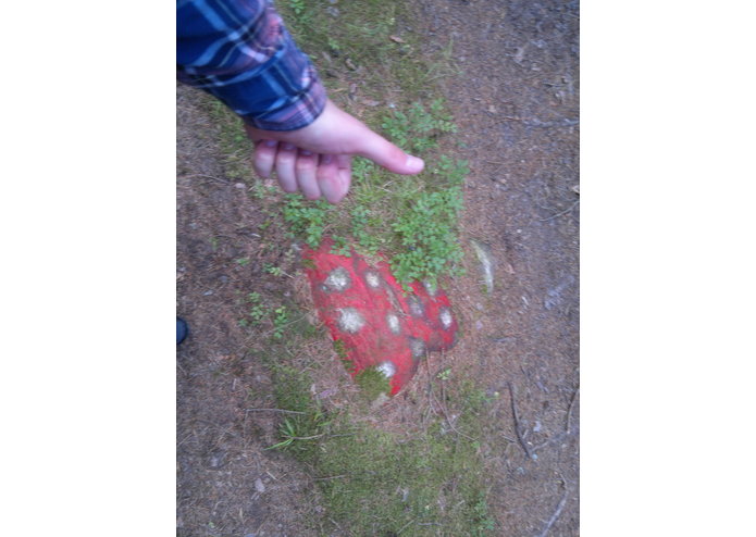 Ragdoll Physics (OpenTK) – screenshot 1