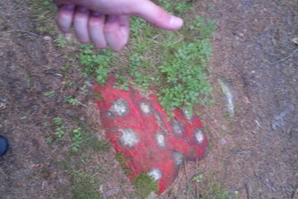 Ragdoll Physics (OpenTK)