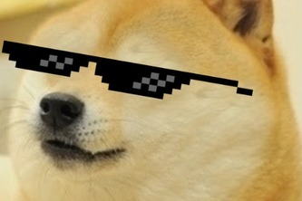 Doge Dodge (Beginner)