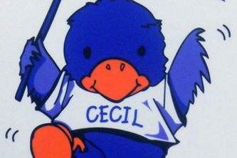 Cecil's Dictionary - Beginner