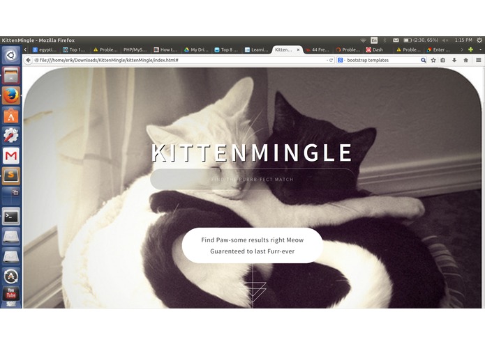 KittenMingle – screenshot 1