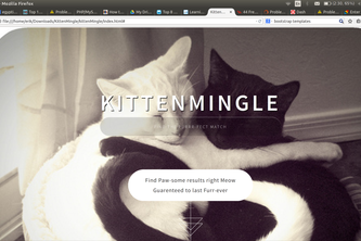 KittenMingle