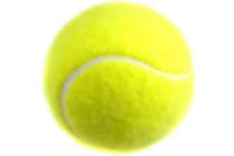 Tennis Court Referee