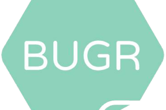 Bugr
