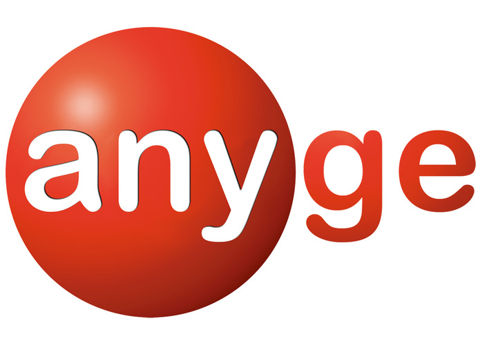 www.any.ge – screenshot 1