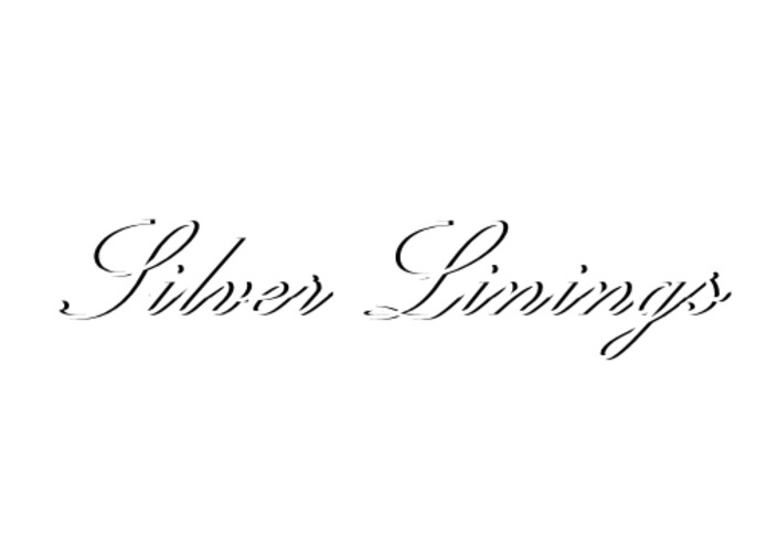 Silver Linings – screenshot 1