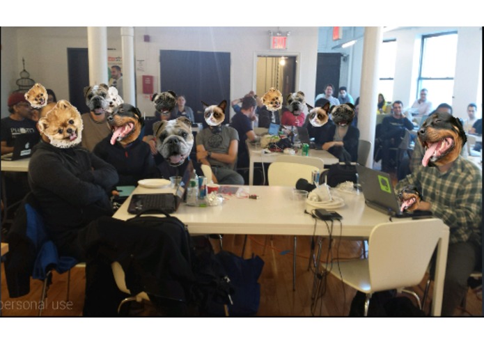 DawgFace – screenshot 2