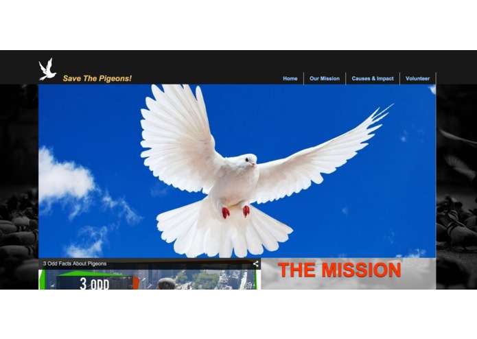Save the Pigeons!!! – screenshot 1