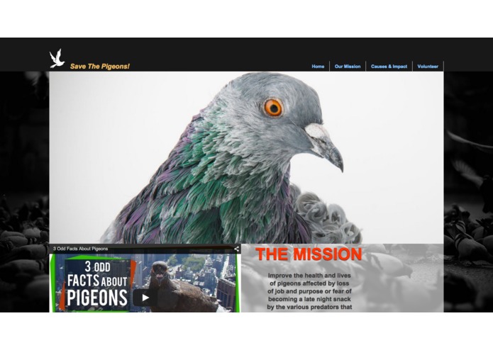 Save the Pigeons – screenshot 1