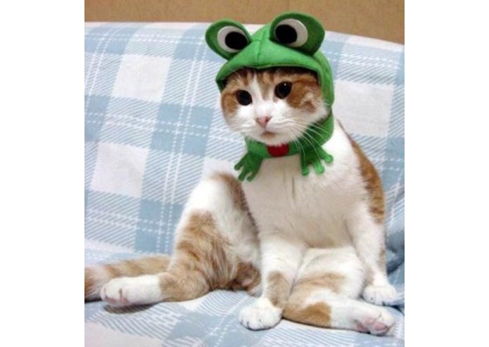 GET UP! – screenshot 1