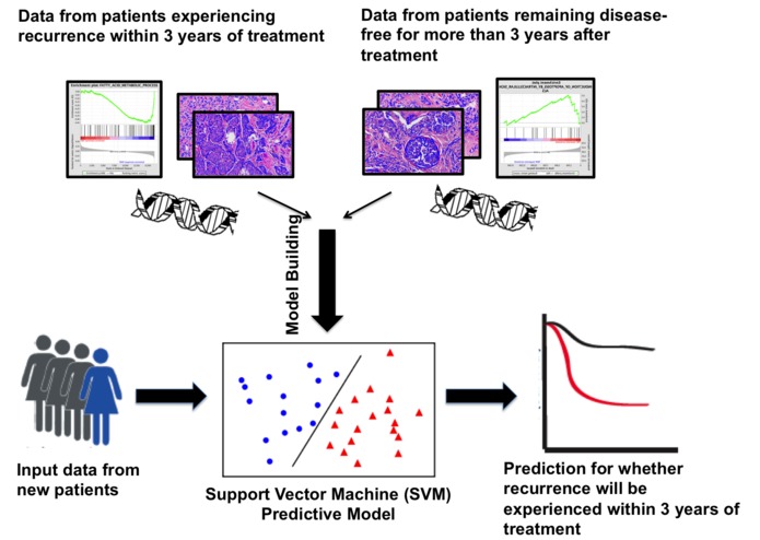 SVM Model for Accurate Breast Cancer Prognosis – screenshot 1