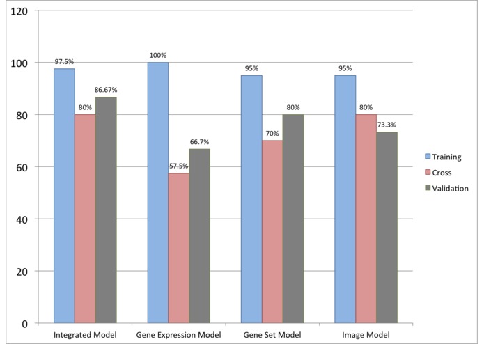 SVM Model for Accurate Breast Cancer Prognosis – screenshot 5