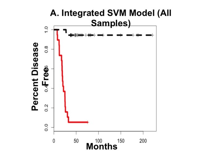 SVM Model for Accurate Breast Cancer Prognosis – screenshot 7