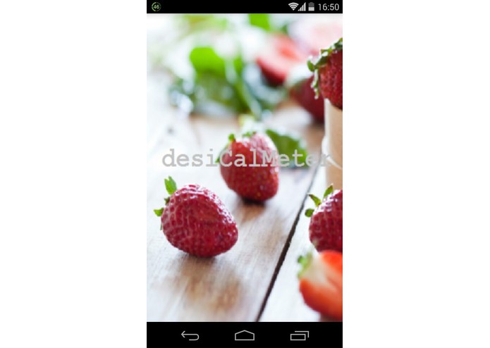 Desi Calorie Meter – screenshot 2