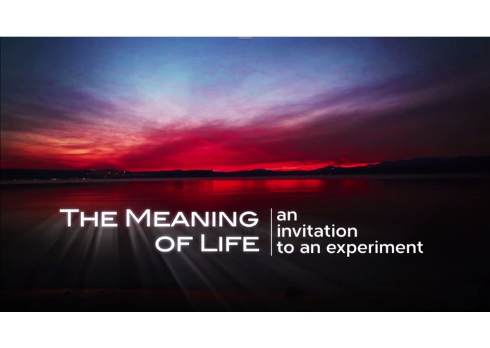 MEANING OF LIFE EXPERIMENT – screenshot 1
