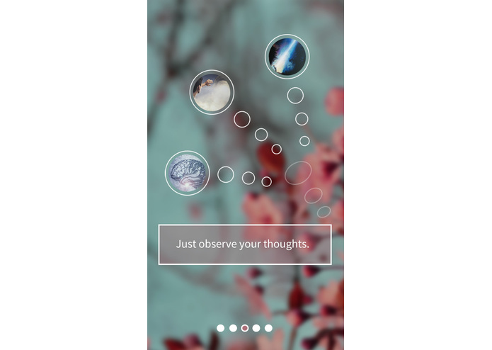 ZEN – screenshot 3