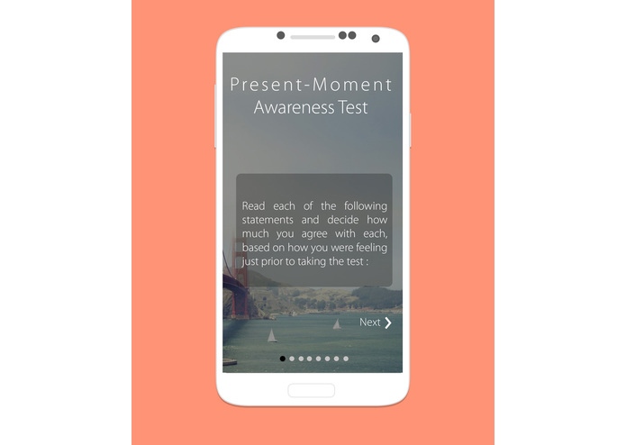 ZEN – screenshot 11