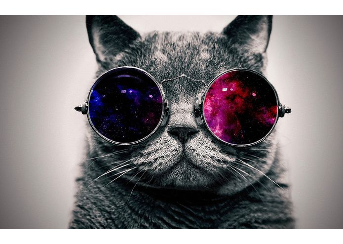 myolus – screenshot 1