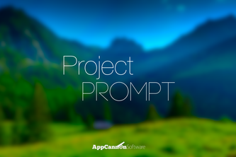 Project Prompt