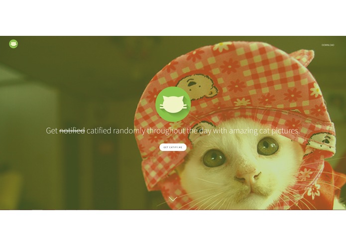 Catify.me – screenshot 1