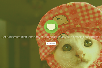 Catify.me