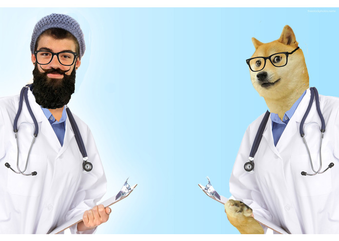 You Can't DOGE this – screenshot 8