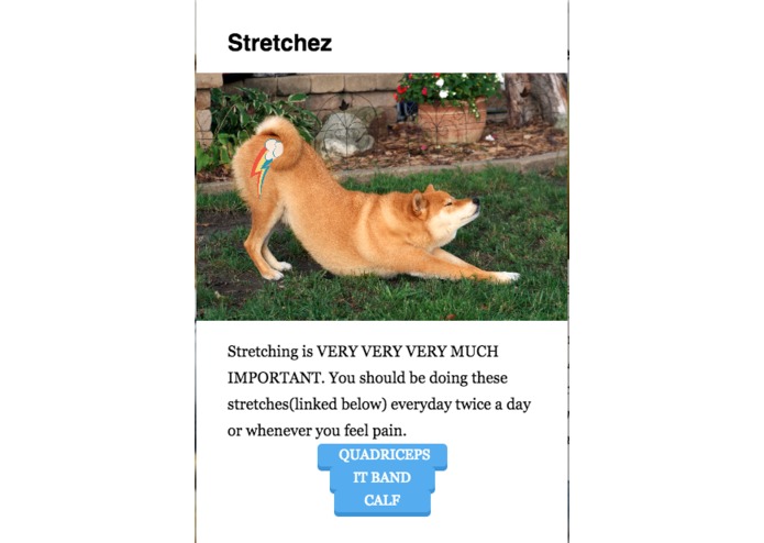 You Can't DOGE this – screenshot 6