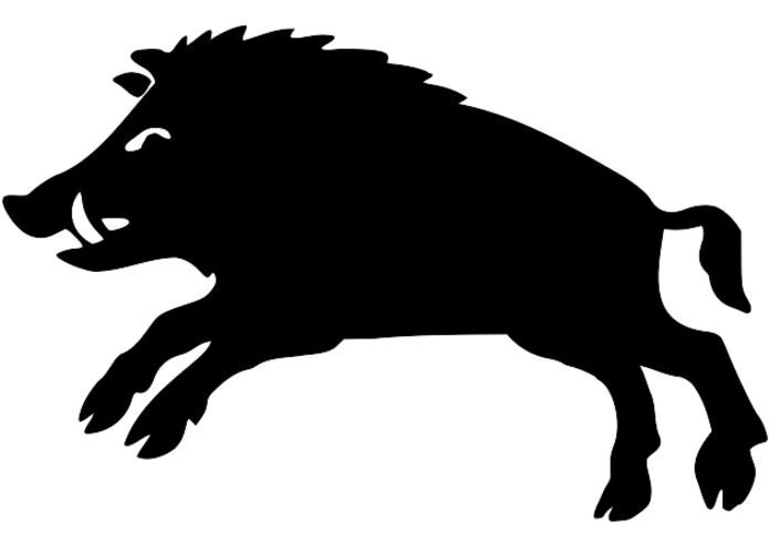 Boar'd – screenshot 1