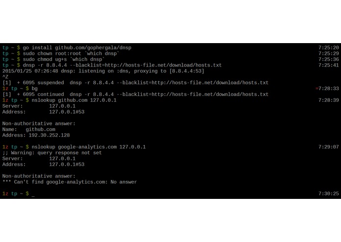 dnsp – screenshot 2