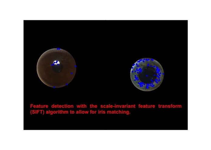 iiris – screenshot 6