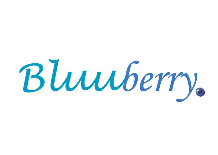 Bluuberry – screenshot 1