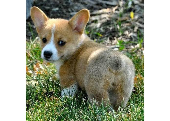 EZLapse – screenshot 1