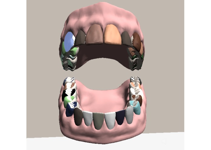 Dentrainer – screenshot 1