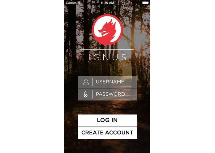 Ignus – screenshot 3