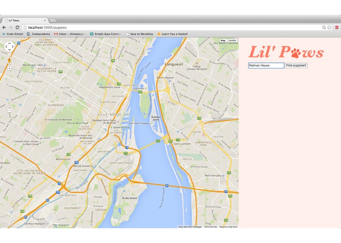 lil' paws – screenshot 3