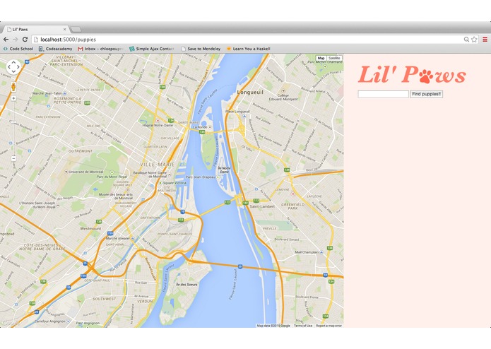 lil' paws – screenshot 1