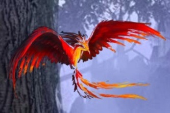 Escape From Fantasy Island