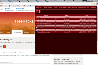 Web FS