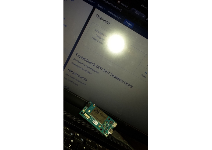 Exploit Search  – screenshot 2