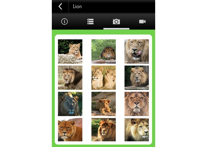 Species Explorer – screenshot 5