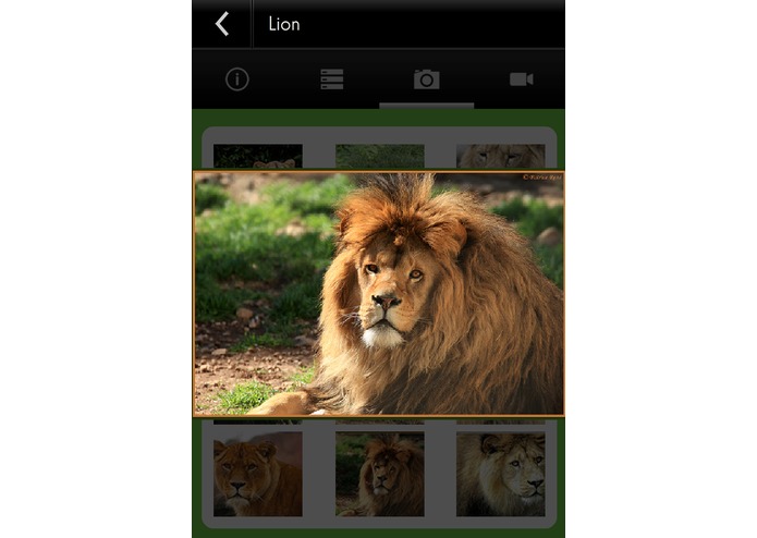 Species Explorer – screenshot 7