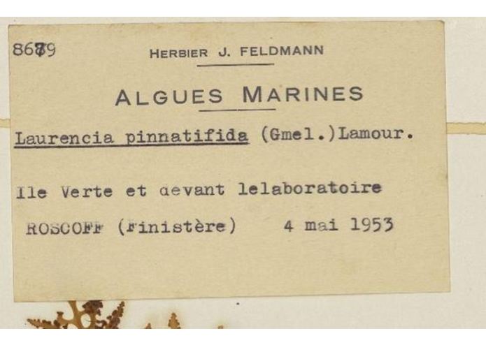 LesHerbonautes – screenshot 7