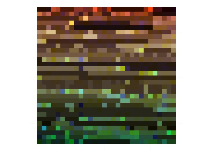 Colours from Specimen Images – screenshot 1