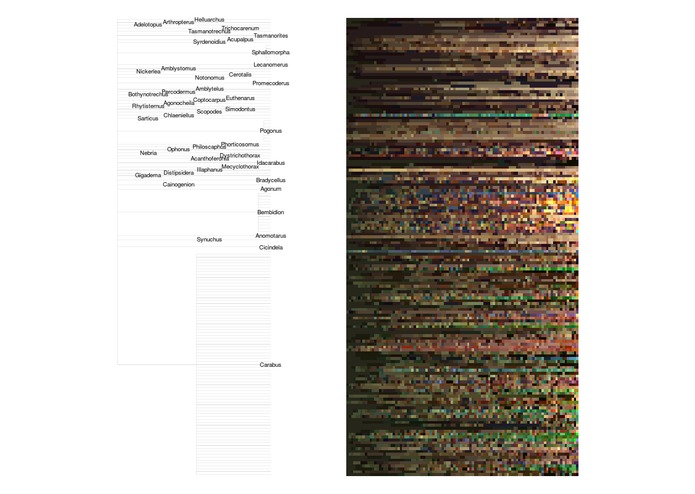 Colours from Specimen Images – screenshot 2