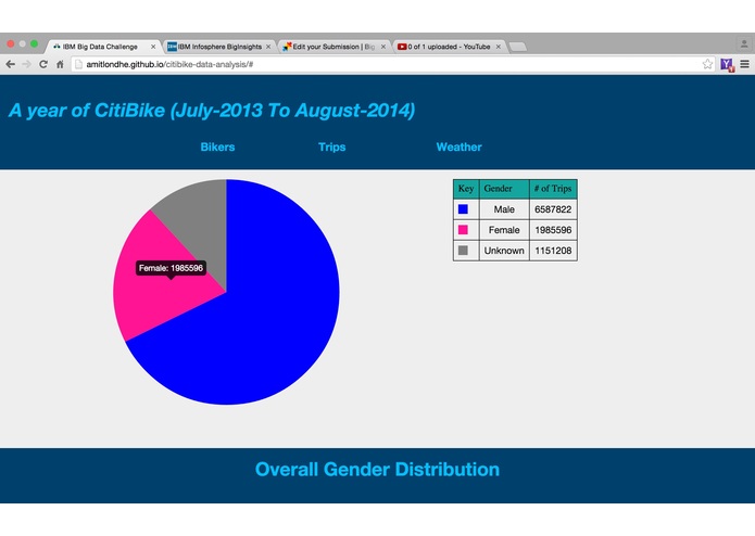 CitiBike - Looking back in a year – screenshot 1