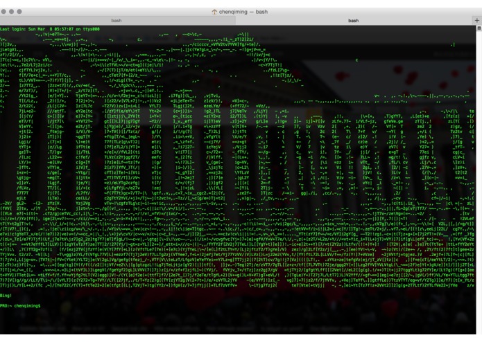 Bing-Term – screenshot 2
