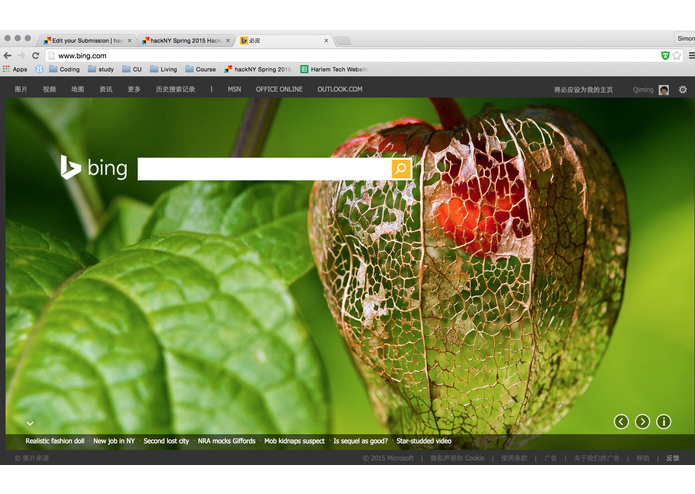 Bing-Term – screenshot 3